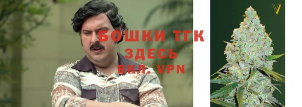 молекула духа Армянск